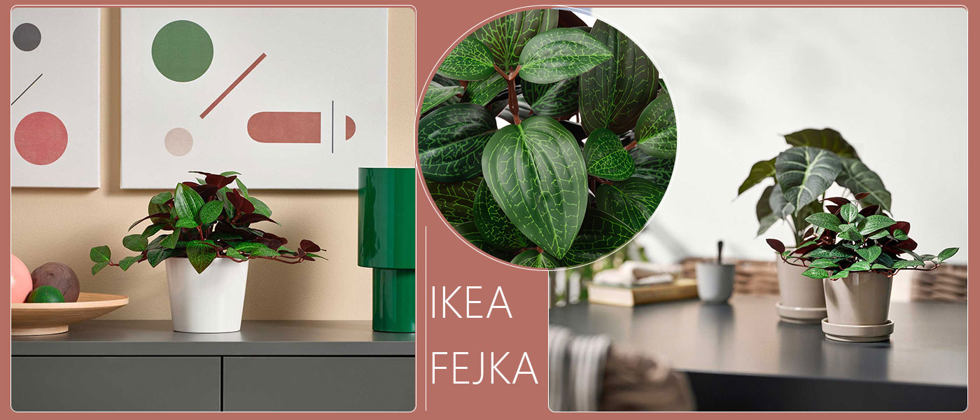 گیاه مصنوعی ارکیده جواهر ایکیا مدل IKEA FEJKA